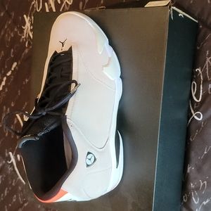 Air Jordan's 14 Retro Desert